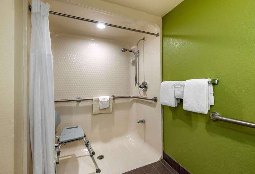 Spot X Hotel Tampa   Wesley Chapel By The Red Collection