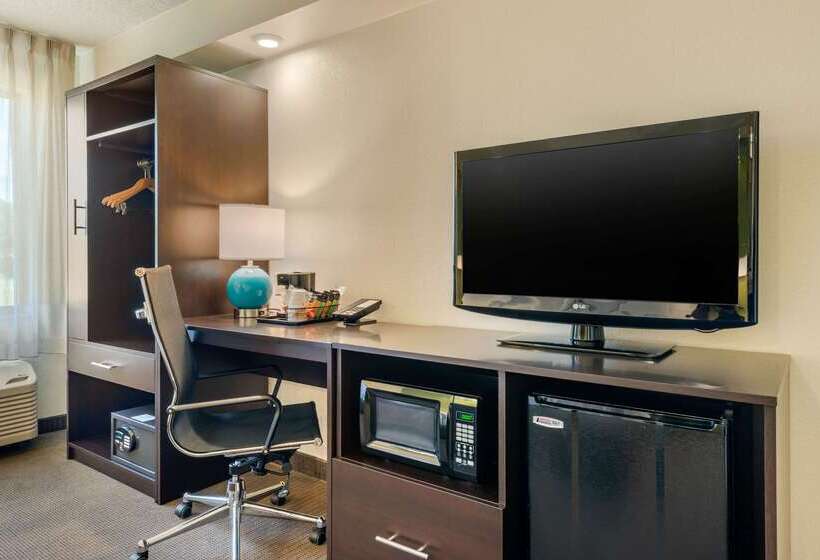 Spot X Hotel Tampa   Wesley Chapel By The Red Collection