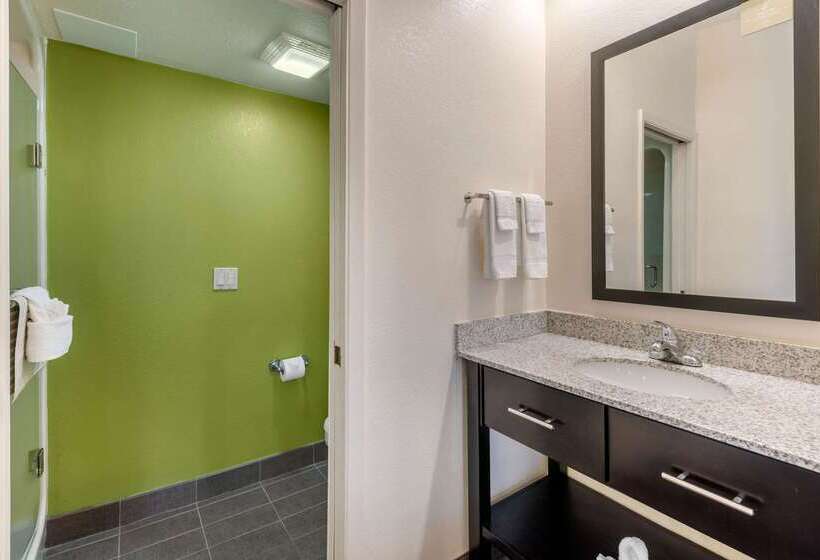 Spot X Hotel Tampa   Wesley Chapel By The Red Collection