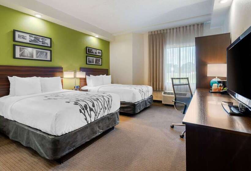 Spot X Hotel Tampa   Wesley Chapel By The Red Collection