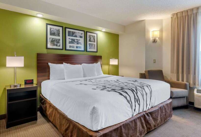 Spot X Hotel Tampa   Wesley Chapel By The Red Collection