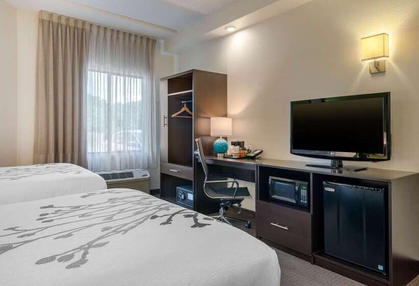 Spot X Hotel Tampa   Wesley Chapel By The Red Collection