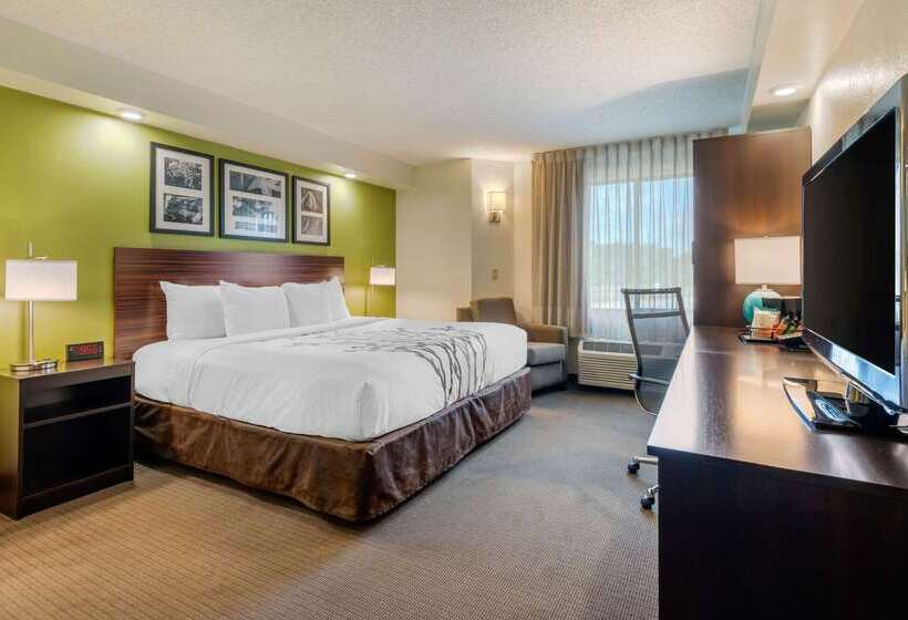 Spot X Hotel Tampa   Wesley Chapel By The Red Collection