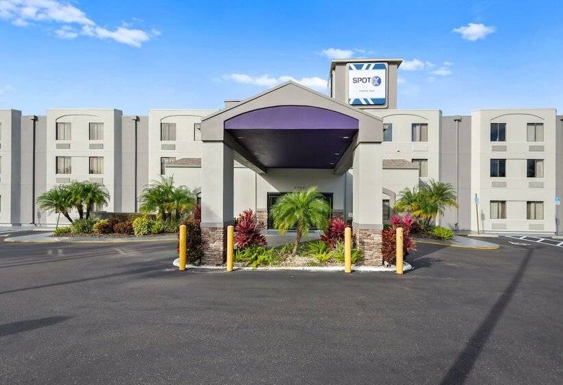 Spot X Hotel Tampa   Wesley Chapel By The Red Collection