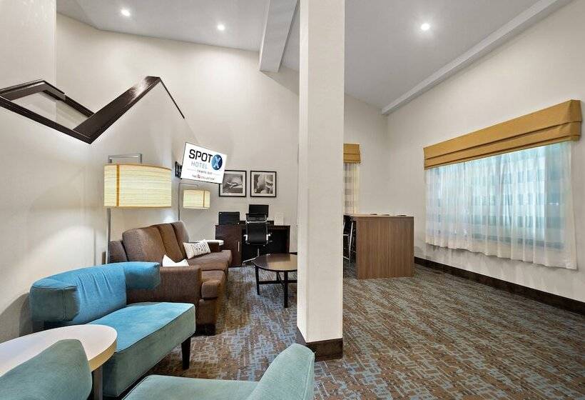 Spot X Hotel Tampa   Wesley Chapel By The Red Collection