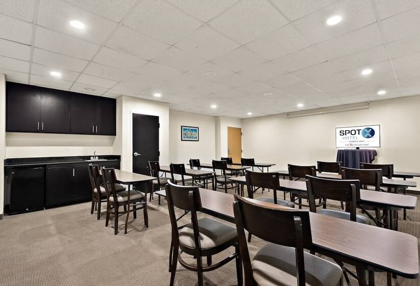 Spot X Hotel Tampa   Wesley Chapel By The Red Collection