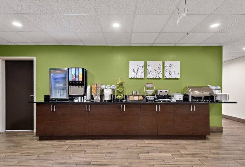 Spot X Hotel Tampa   Wesley Chapel By The Red Collection