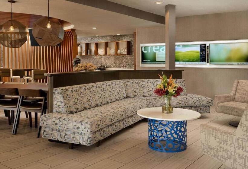 فندق Springhill Suites Dallas Arlington North