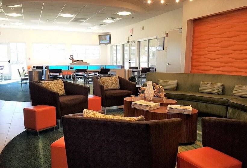 בית מלון כפרי Springhill Suites By Marriott Las Cruces