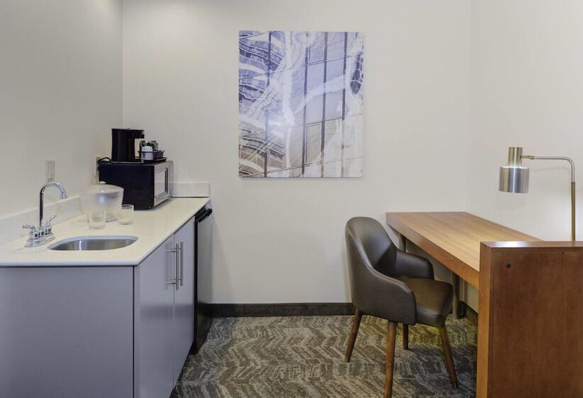 酒店 Springhill Suites By Marriott Memphis East Galleria