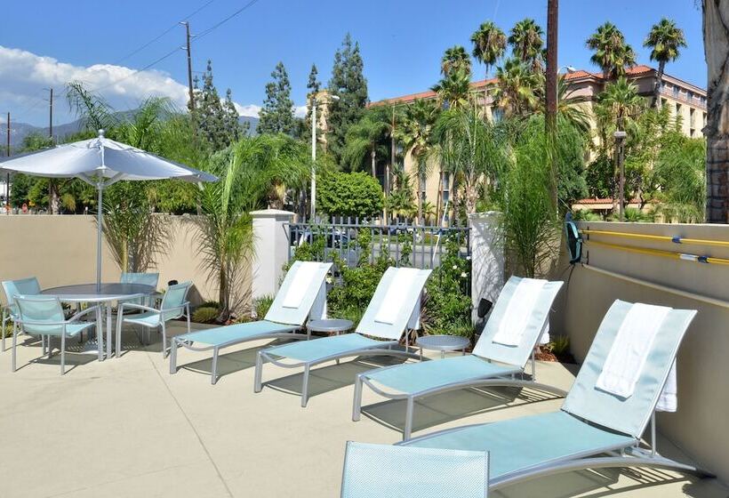 فندق Springhill Suites Pasadena Arcadia
