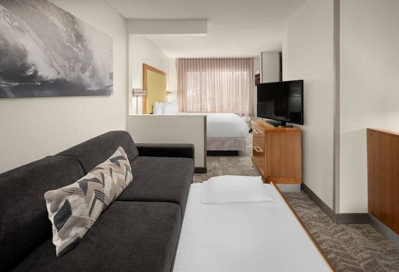فندق Springhill Suites Pasadena Arcadia