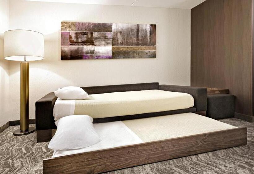 فندق Springhill Suites Phoenix Glendale/peoria