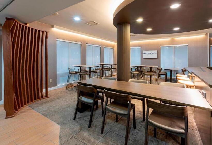 هتل Springhill Suites Rochester Mayo Clinic Area/saint Marys