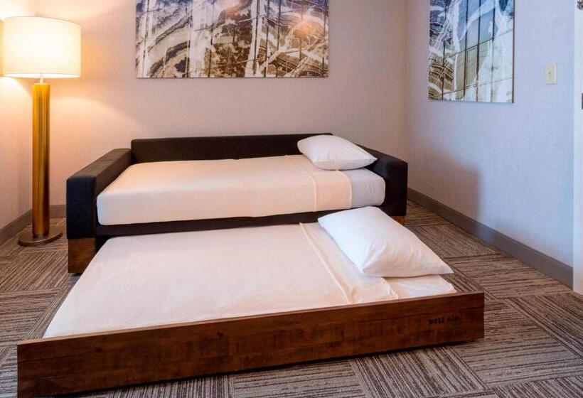 호텔 Springhill Suites Rochester Mayo Clinic Area/saint Marys