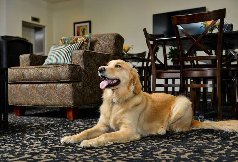 호텔 St Charles Inn, Superior