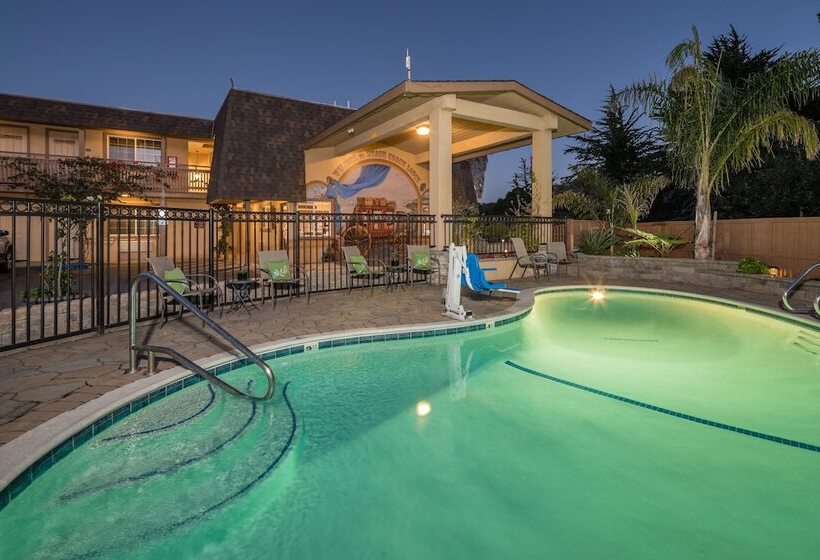 فندق Stage Coach Lodge