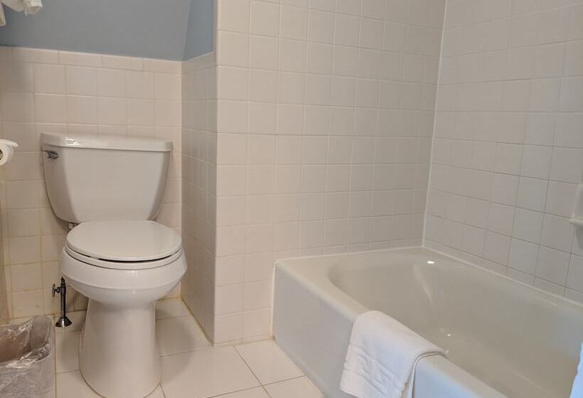 酒店 Stanton House Inn