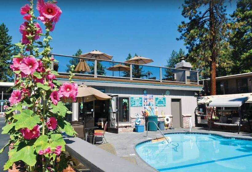 Отель Stardust Lodge