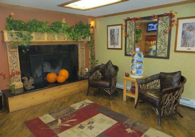 Отель Stardust Lodge