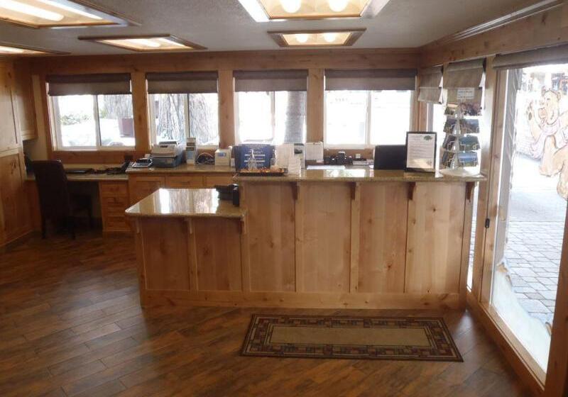 Отель Stardust Lodge