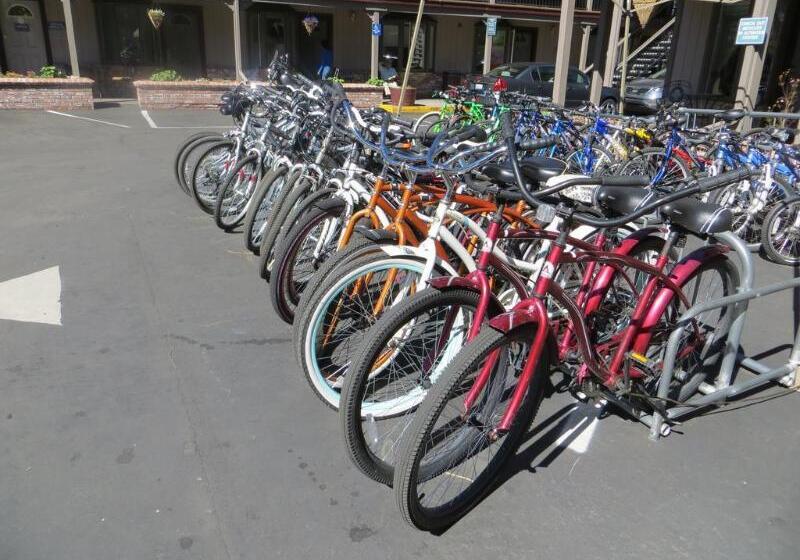 Отель Stardust Lodge