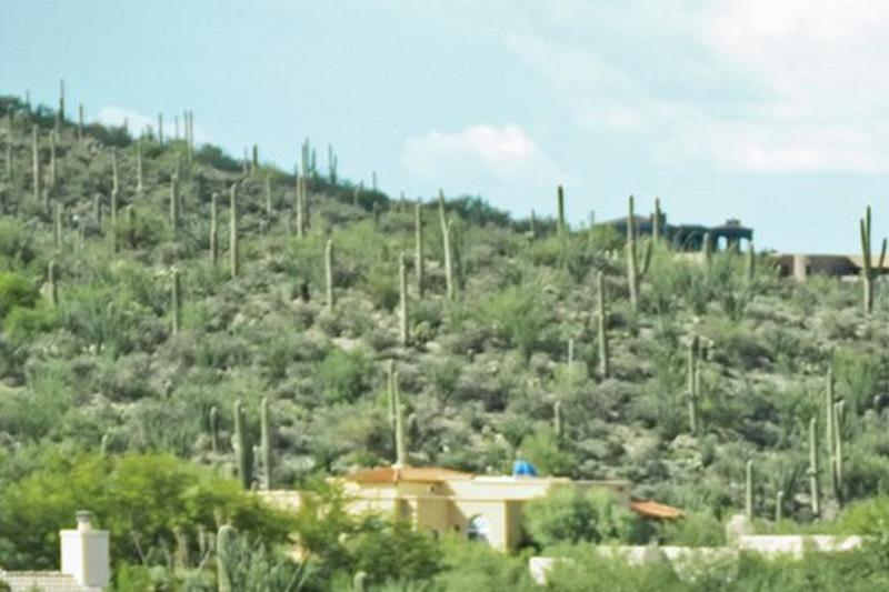 هتل Starr Pass Golf Suites