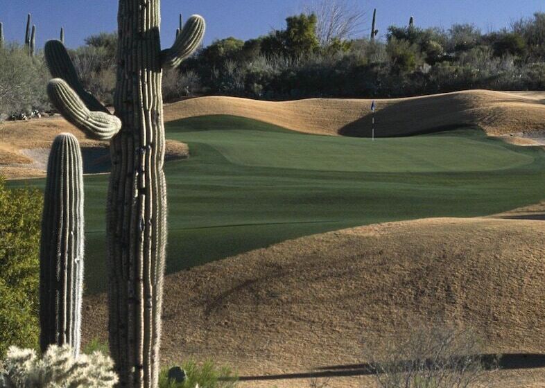 هتل Starr Pass Golf Suites