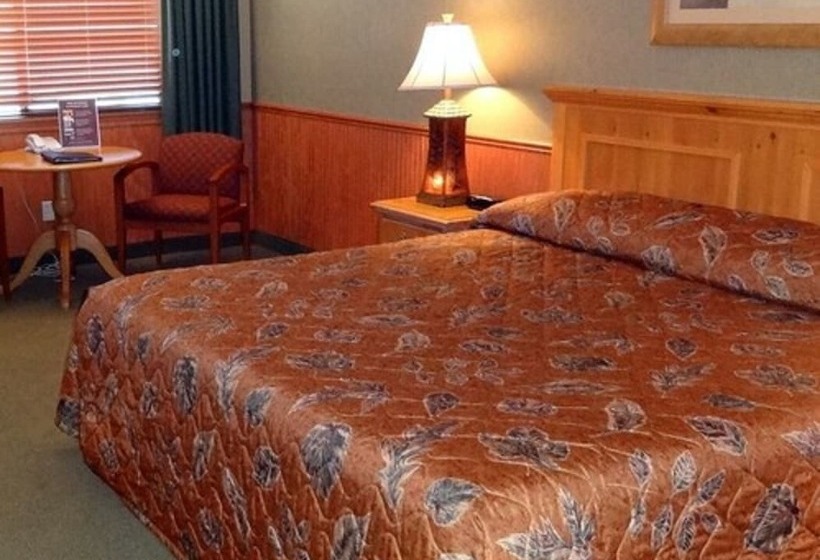 酒店 Stewart Lodge