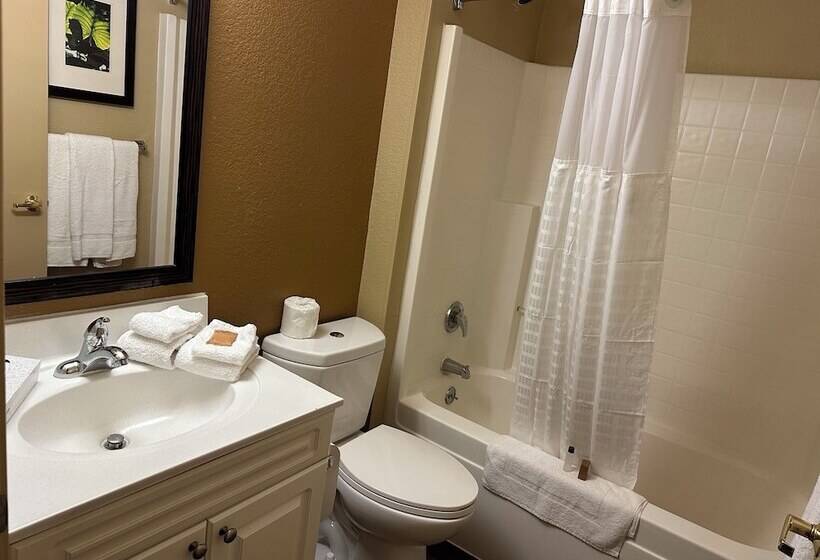 בית מלון כפרי Suburban Studios Houston North I 45