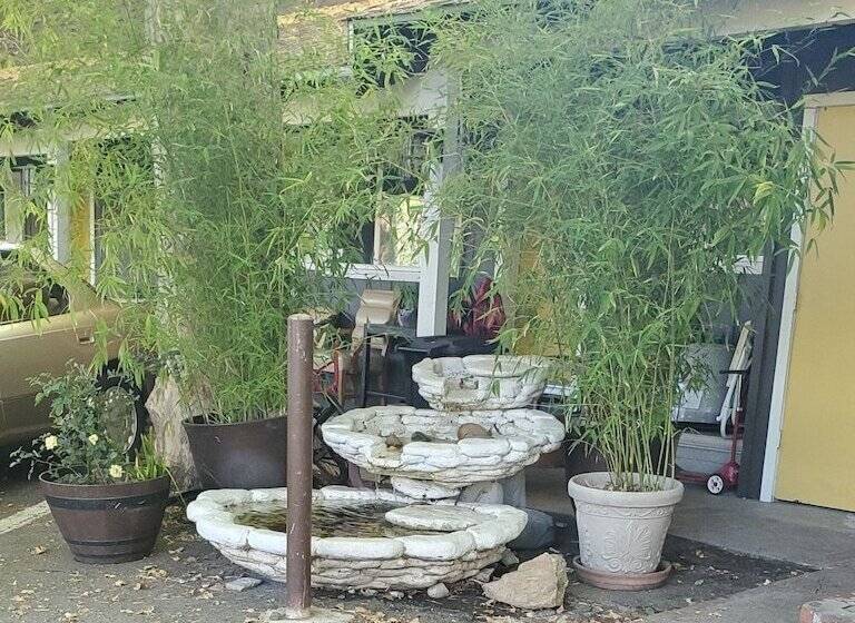 ホテル The Gold Lodge