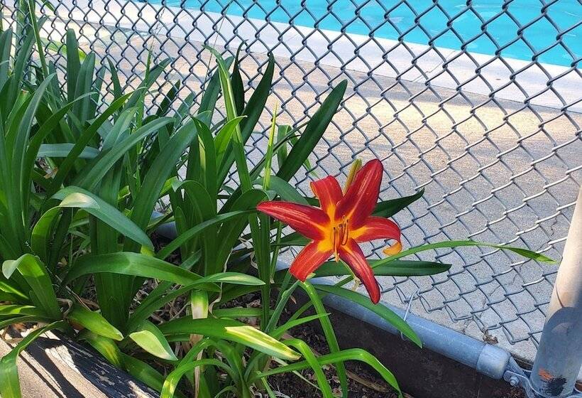 ホテル The Gold Lodge