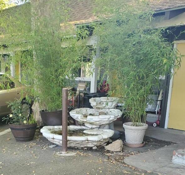 ホテル The Gold Lodge