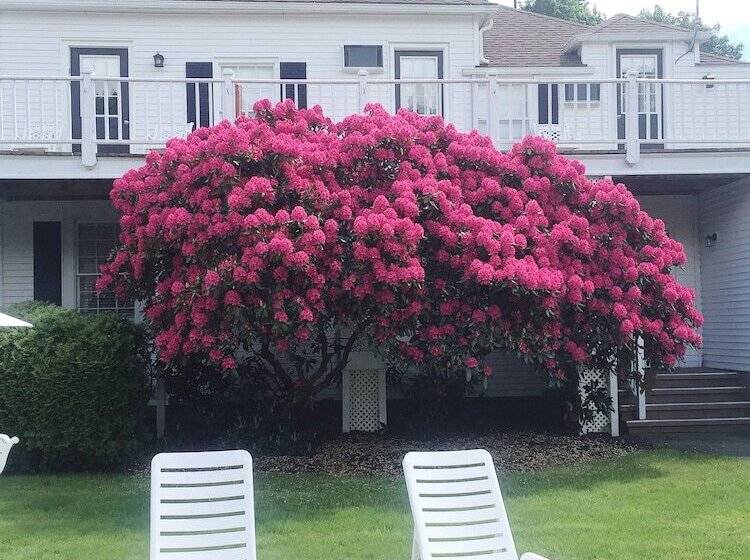 אתר נופש Shoreway Acres Inn & Cape Cod Lodging