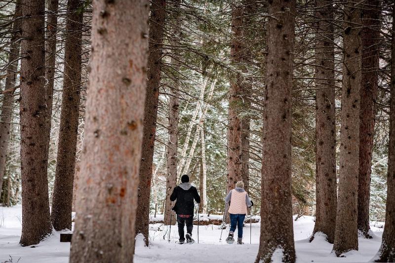 منتجع Spearfish Canyon Lodge