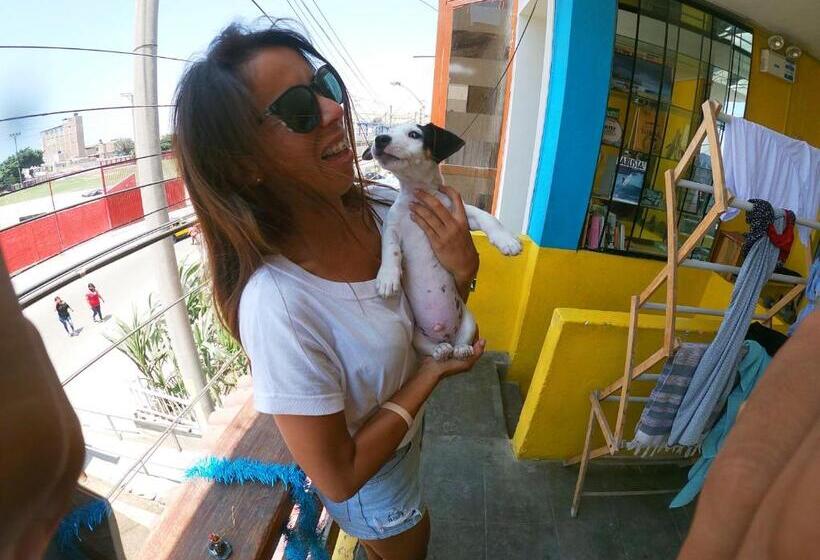 旅馆 Urcia Surf House