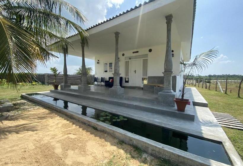 Отель Coco Cabana Kite Resort Kalpitiya