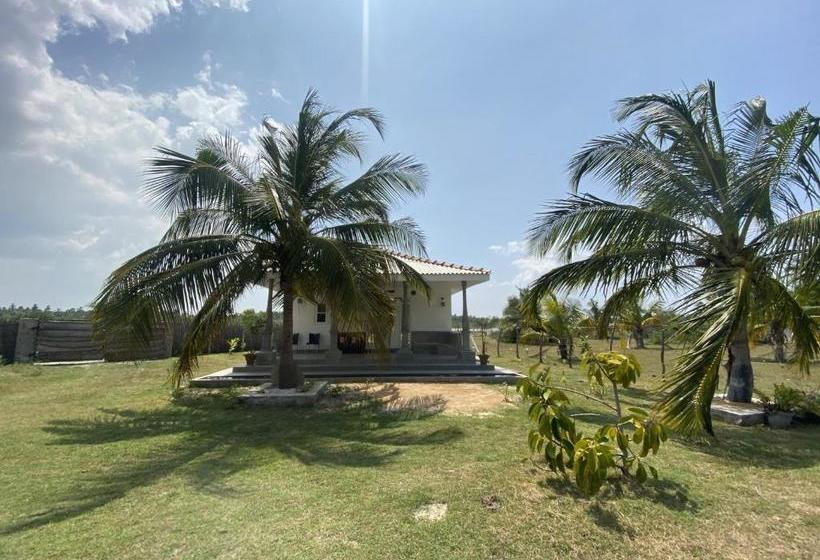 Отель Coco Cabana Kite Resort Kalpitiya