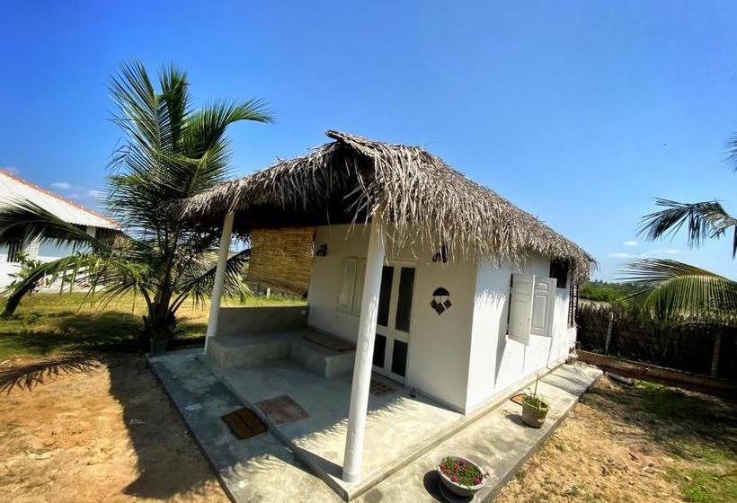 Отель Coco Cabana Kite Resort Kalpitiya