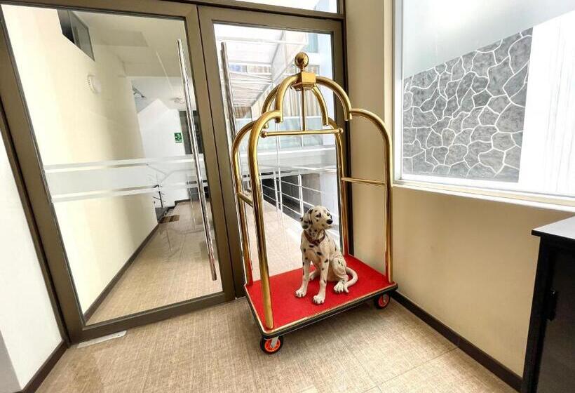 酒店 Suite Terrazzo