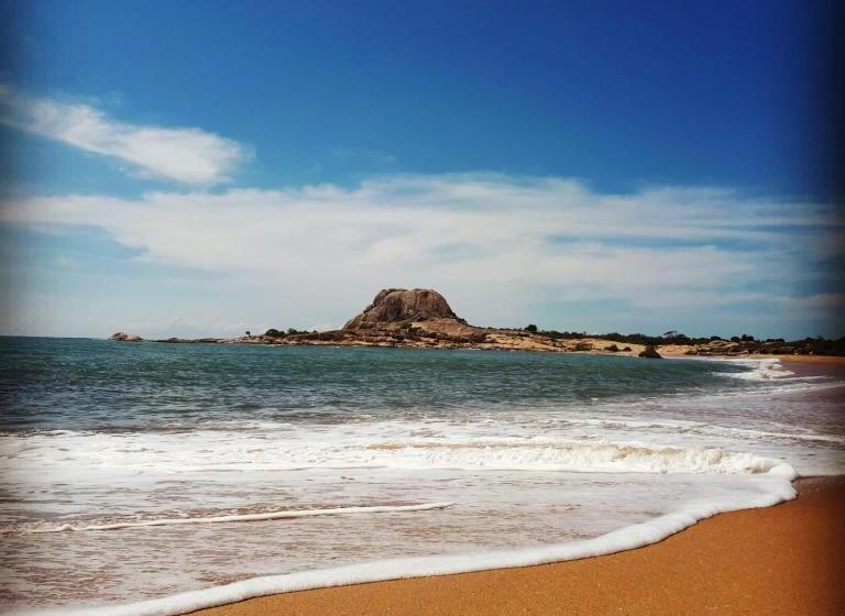 膳宿费 Cactus Villa