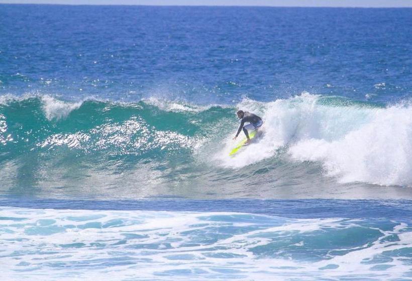 膳宿费 Cactus Villa