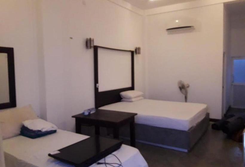 膳宿费 Cactus Villa