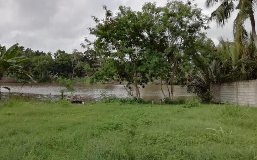 膳宿费 Cactus Villa