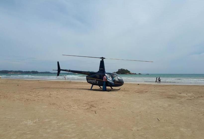 膳宿费 Cactus Villa