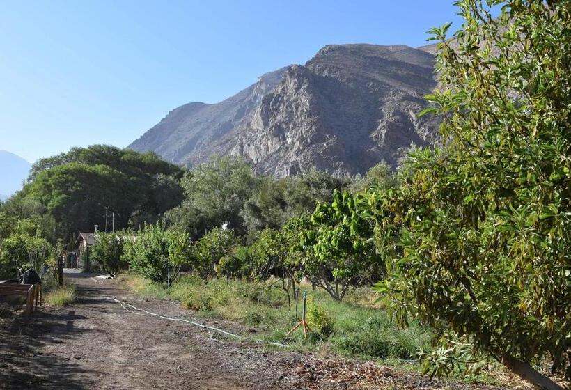 Пансион Clayhouse Rivadavia