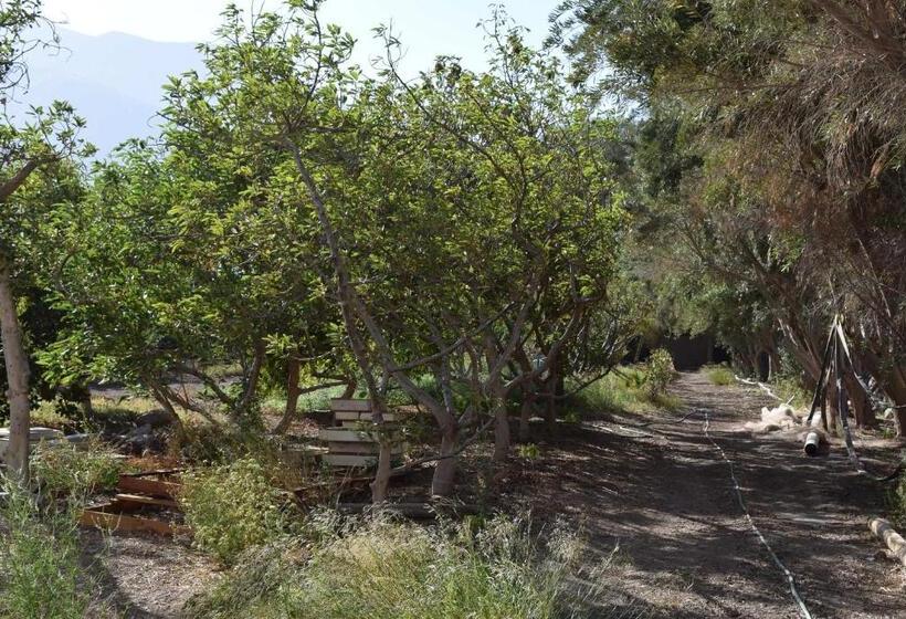 Пансион Clayhouse Rivadavia