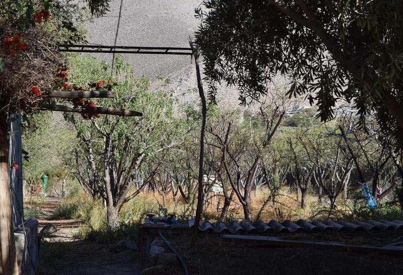 Пансион Clayhouse Rivadavia