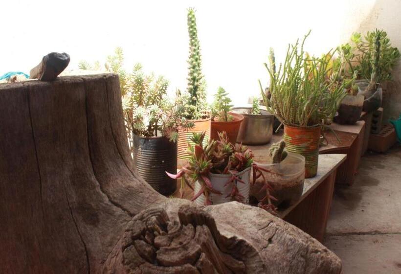 پانسیون Namaste House