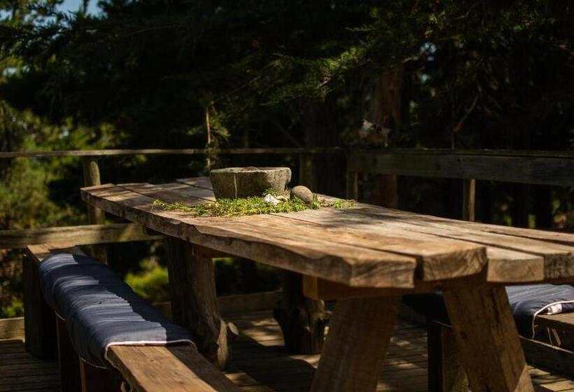 Bed & Breakfast Casa Atipika